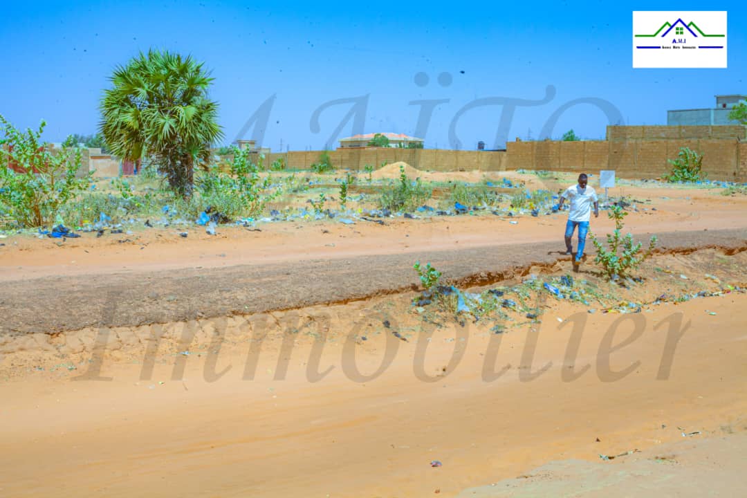 Parcelles bornées à la Cité FDS, Niamey